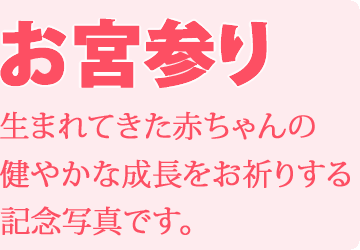 �T���t�H�[�g���{�Q��
